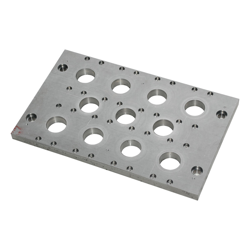 Plate bi Holes